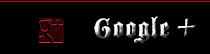 Google +